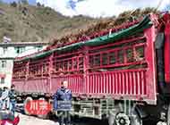 辽核一号核桃苗2300株由四川大邑李总订购